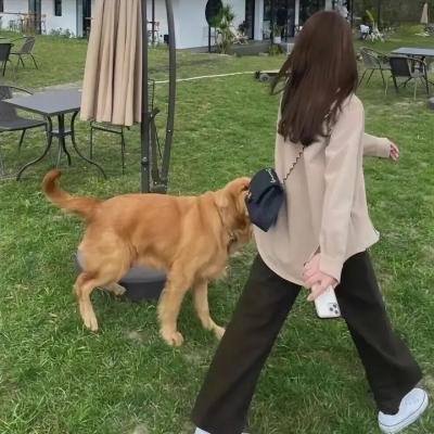 银河系大排档